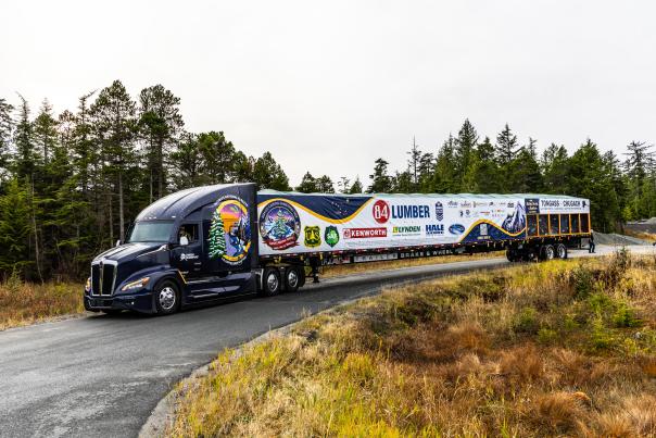 Capitol Christmas Tree