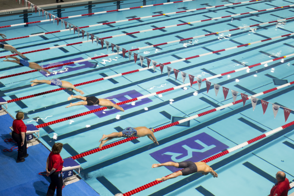 Swimmers diving into a pool