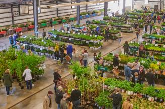 Arbor Day Plant Sale