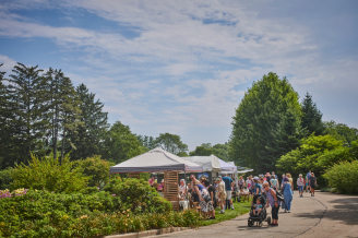 Wine and Art Walk