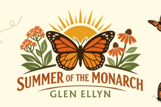 Summer of the Monarch