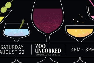 Zoo Uncorked