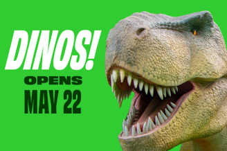Dinos