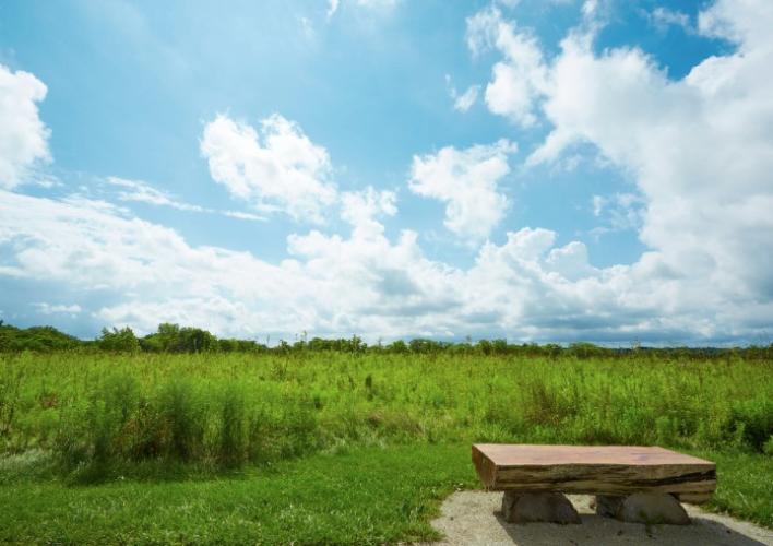 Bench