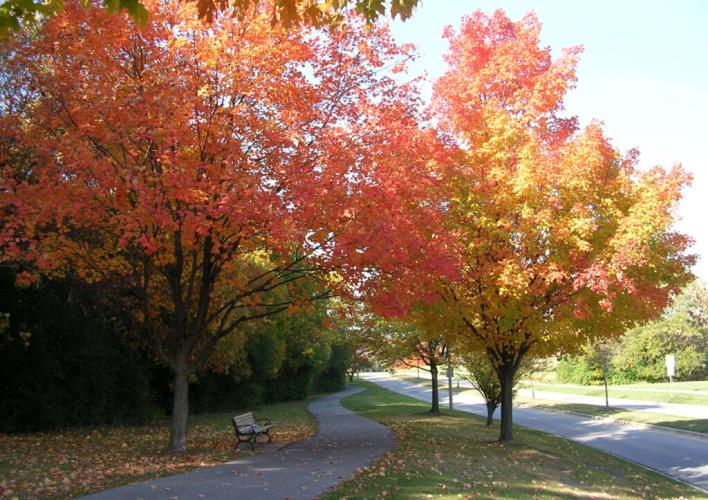 Woodridge Park District