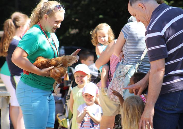 Lady holding rooster