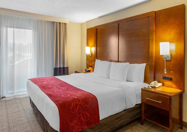 Guest Suite - King Bed