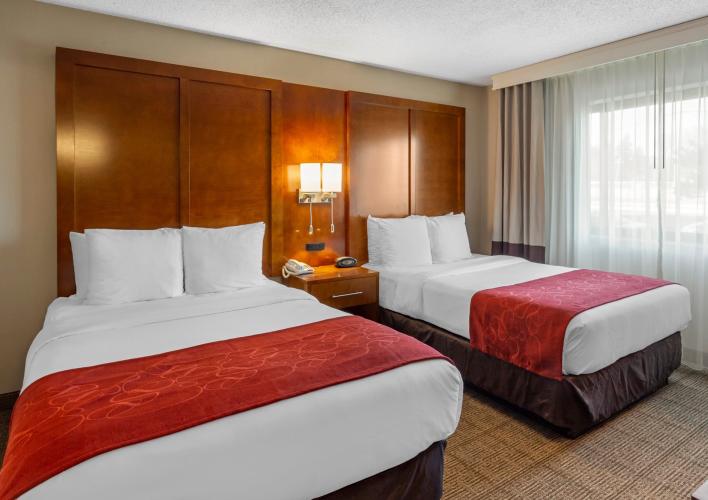 Guest Suite - Bedroom with 2 Full Beds