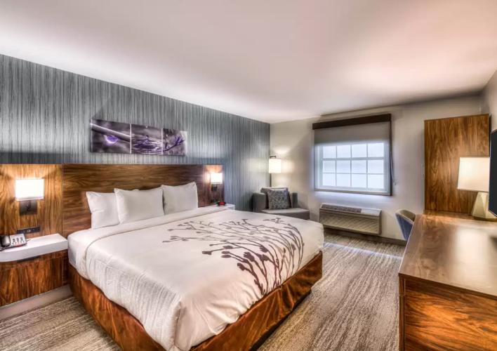 King Guest Room