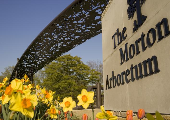 Morton Arboretum 01871.jpg