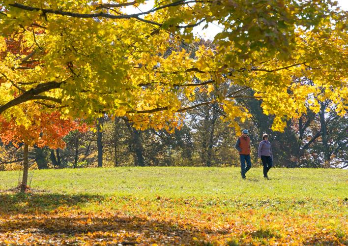 Fall Color Walks