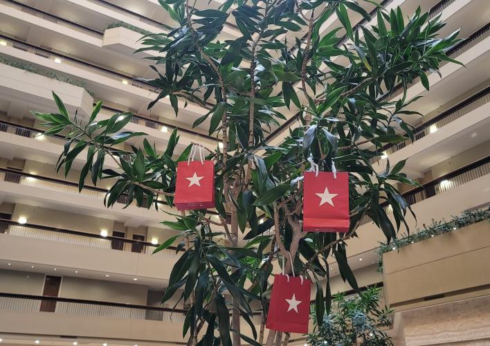 Retail Therapy Shopping Package