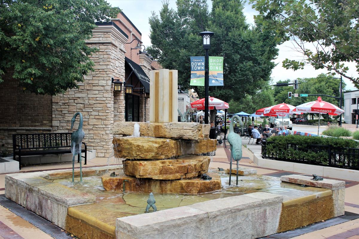Lisle, IL Downtown