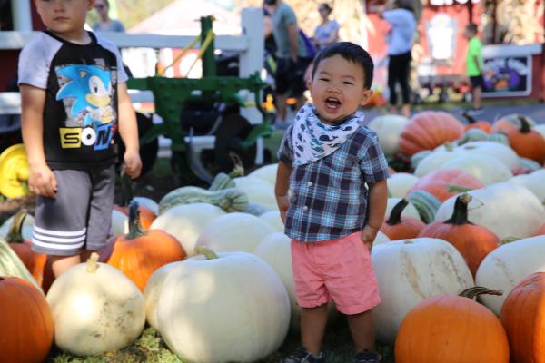 A cheerful boy smiles while standing in a pumpkin patch at Sonny Acres Farm, surrounded by a colorful assortment of orange and white pumpkins.