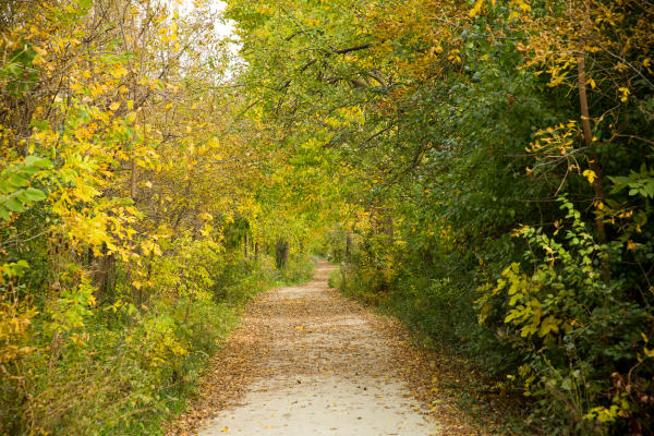 Fall season on the Illinois Prairie Path