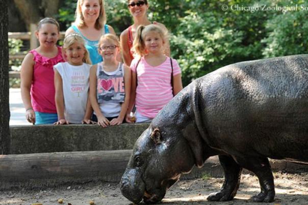 Brookfield Zoo