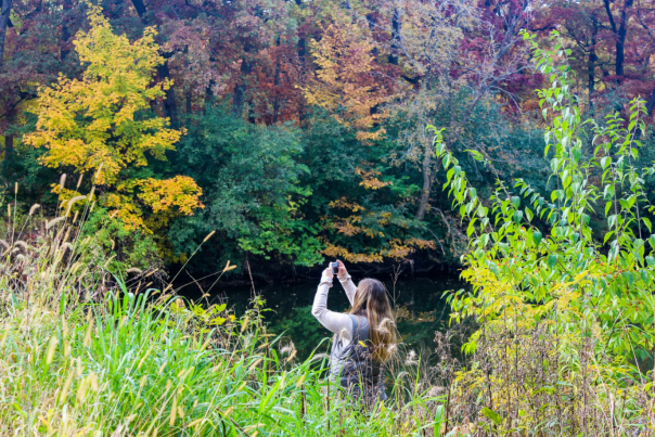 Fullersburg Woods