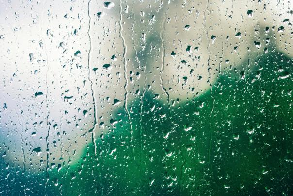 rainy window