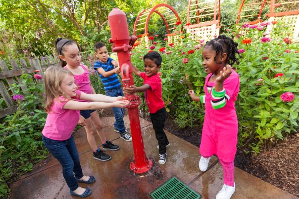 Children's Garden