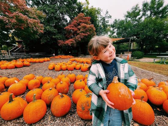 Girl holding pumpkin and smiling at Cosley Zoo's pumpkin fest.