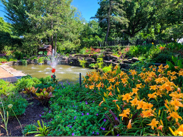 Flowers surrounding a fountain