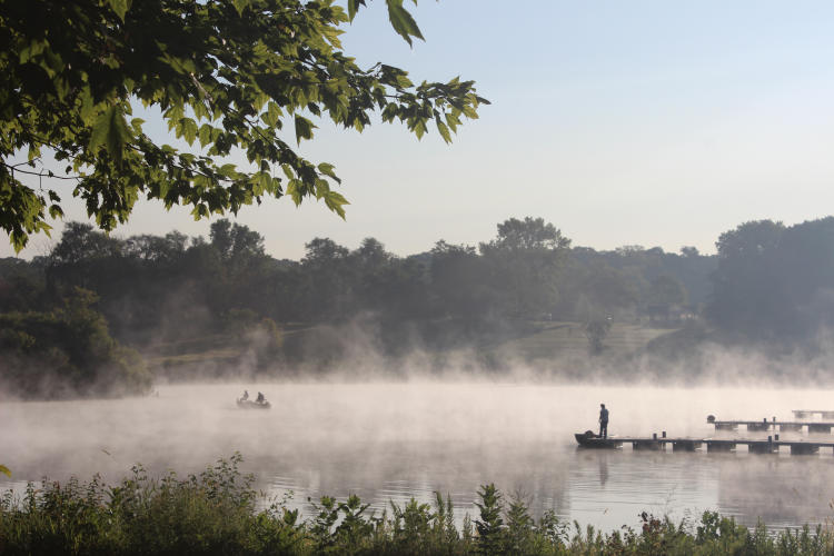 Steamy fog over a lake with a pier and a green tree in the corner