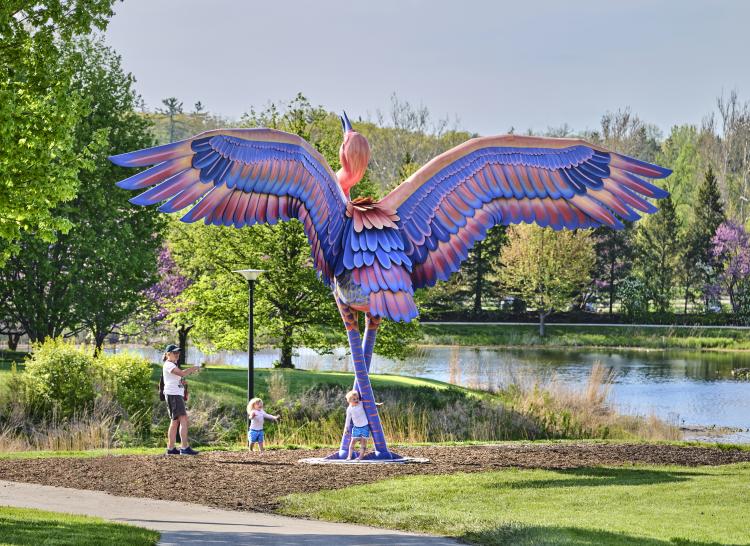 Vivid_Creatures_Cadence_Sandhill_Crane_1_Credit__The_Morton_Arboretum_hmvhu4