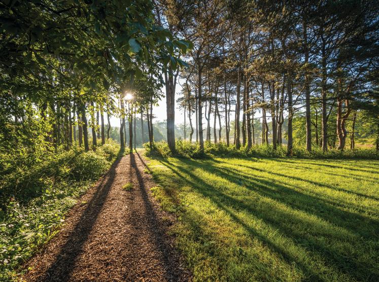 Life Unplugged: Discovering the Great Outdoors