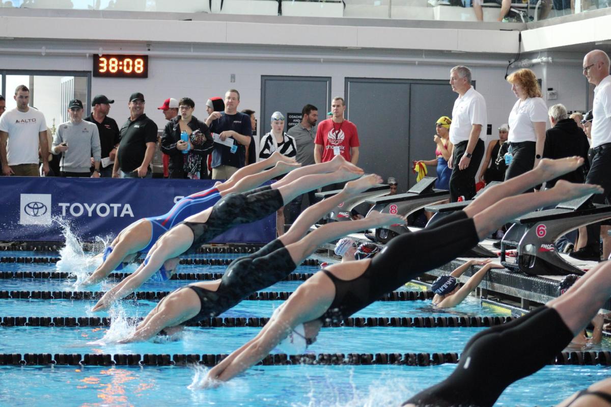 Swimmers in competition diving off block into pool