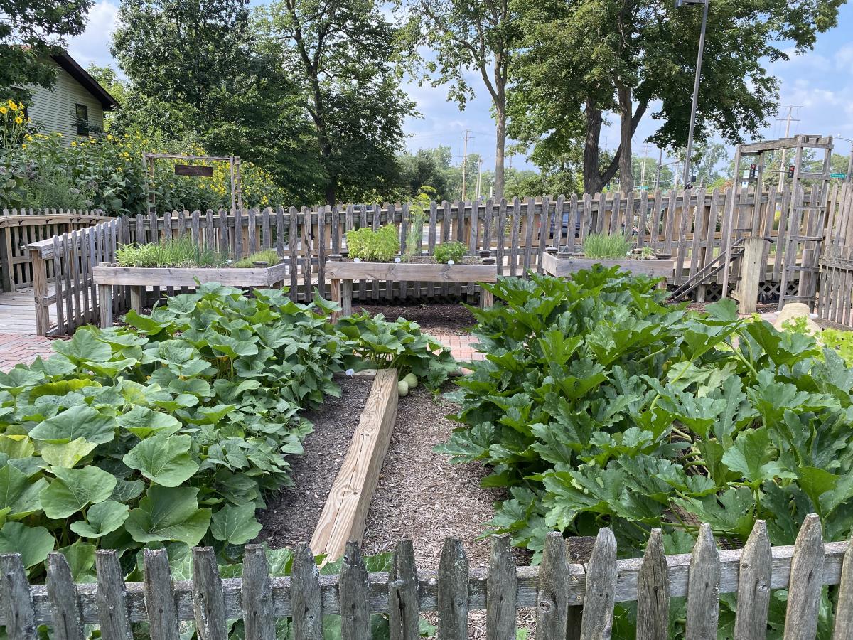 Pam's Garden