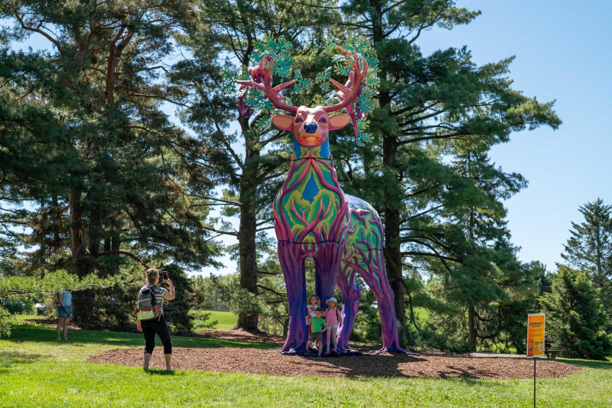 Things to Do in DuPage County This Weekend | 2026