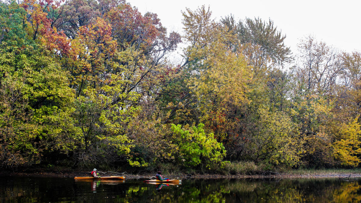 Fall Things to Do in DuPage County, IL | Festivals & More