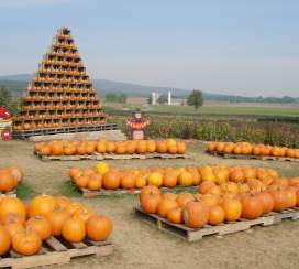 Catoctin Mountain Orchard