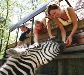 Catoctin Wildlife Preserve