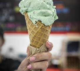 Rocky Point Creamery