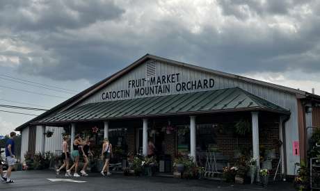 Catoctin Mountain Orchard