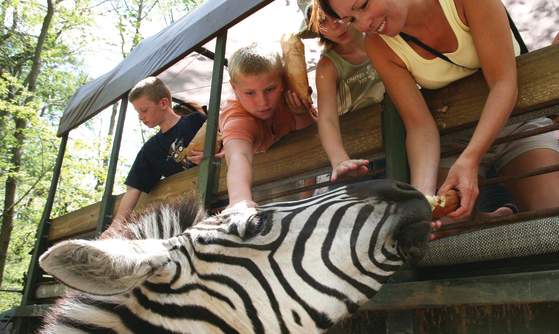 Catoctin Wildlife Preserve