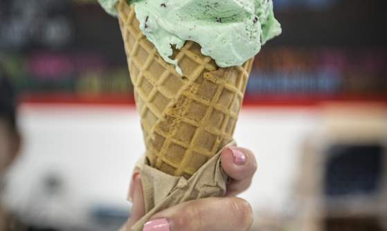 Rocky Point Creamery