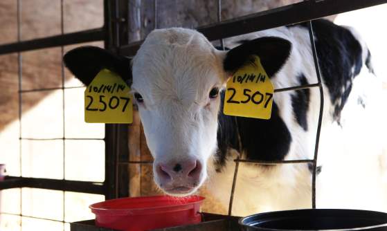 South Mountain Creamery