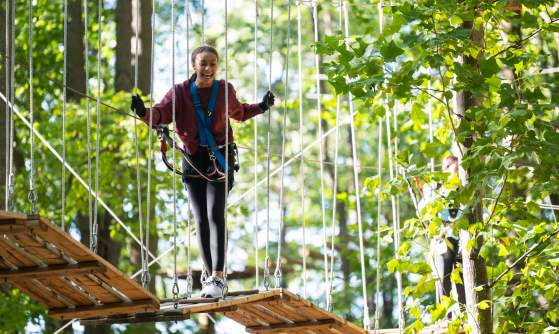 Tree Trekkers