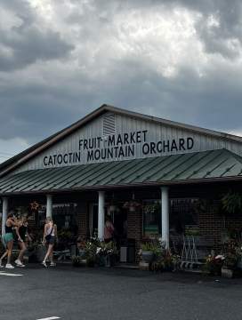 Catoctin Mountain Orchard