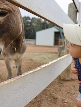Green Meadows Petting Farm