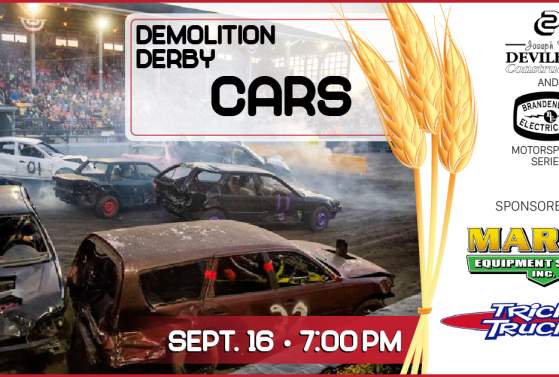Demolition Derby: Cars