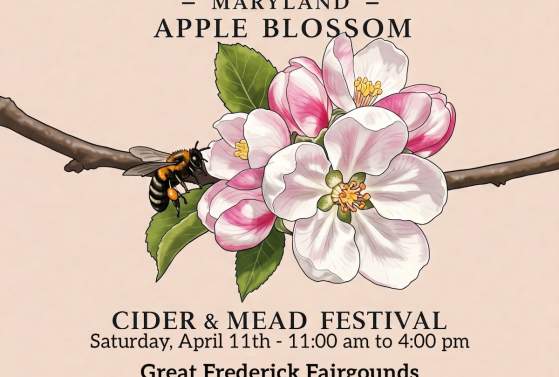 Maryland Apple Blossom Cider Festival