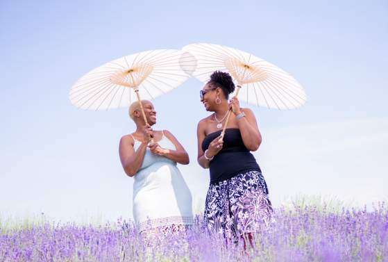 Maryland Lavender Festival at Springfield Manor