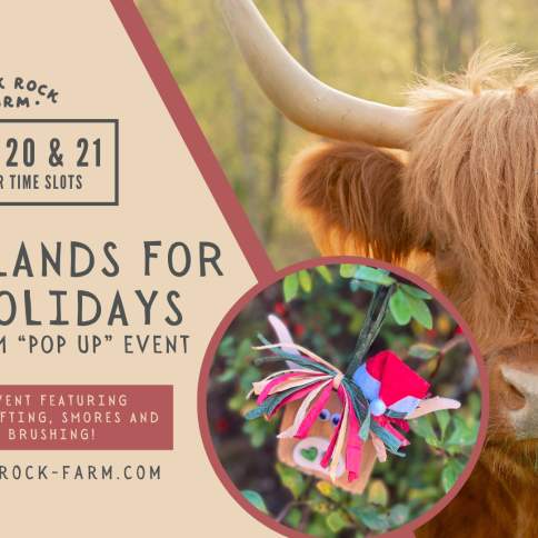 [SOLD OUT] Highlands for the Holidays at Black Rock Farm
