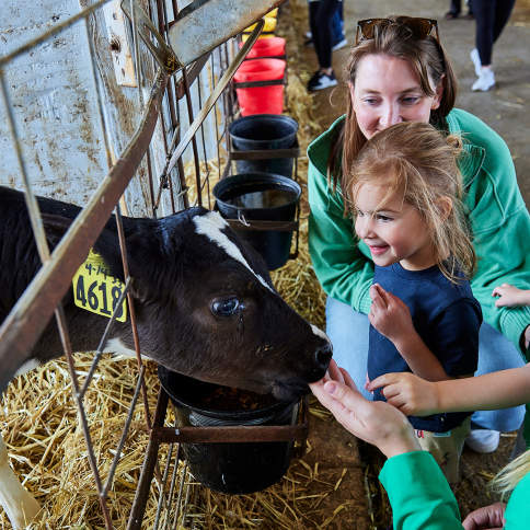 Guided Farm Tours