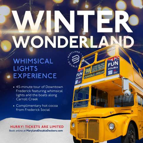 A Winter Wonderland Whimsical Lights Tour