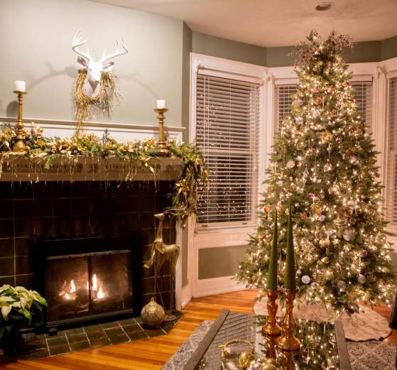 Candlelight House Tour