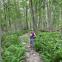 Hiking - Guest Blog